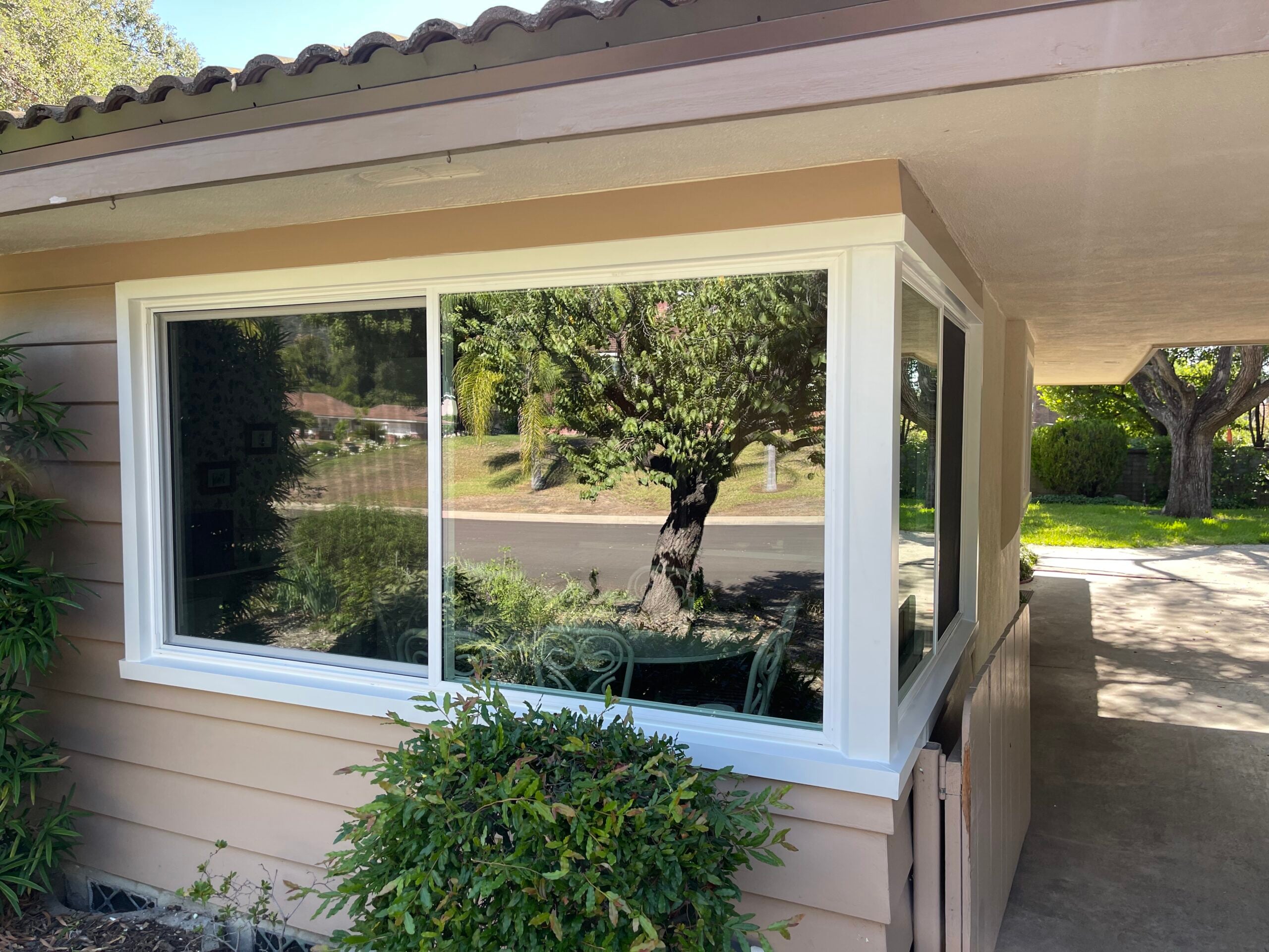 New windows
